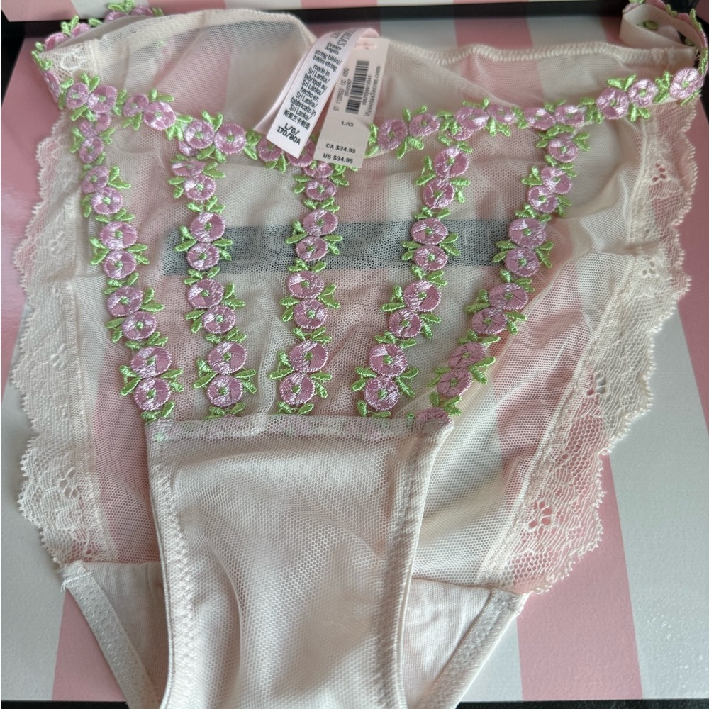 Victoria's Secret Rosebud Embroidery 3 Set NWT Corset 36 DD panty L Garter XS/S - Picture 6 of 13